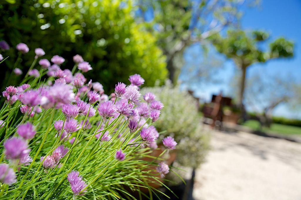 Agriturismo Le Colombe 阿西西 外观 照片