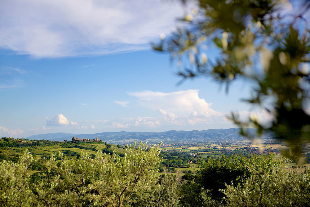 Agriturismo Le Colombe 阿西西 外观 照片