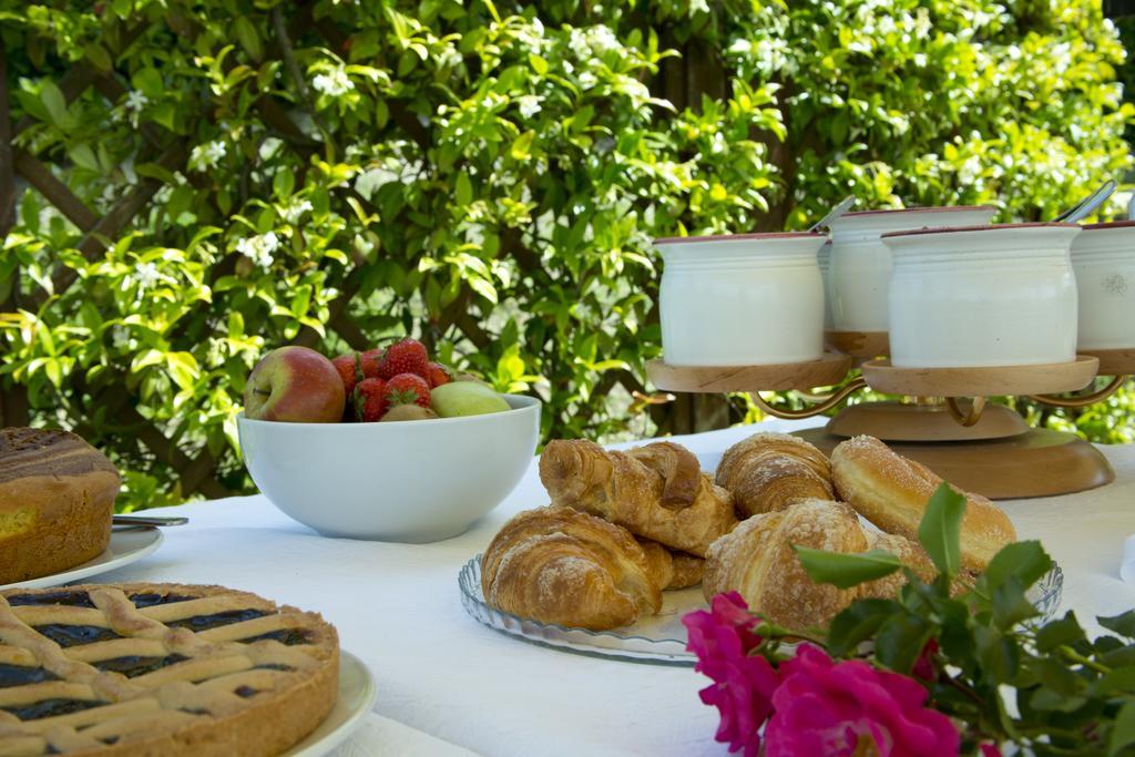 Agriturismo Le Colombe 阿西西 外观 照片